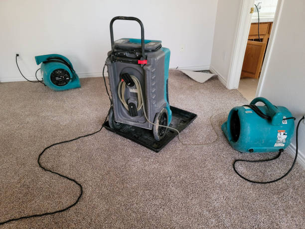 Best Fire Damage Restoration  in Porcupine, SD