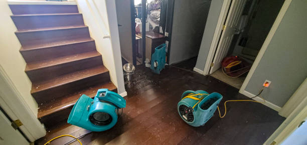 Best Water damage cleanup near me  in Porcupine, SD