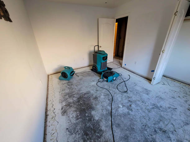 Best Emergency water extraction  in Porcupine, SD