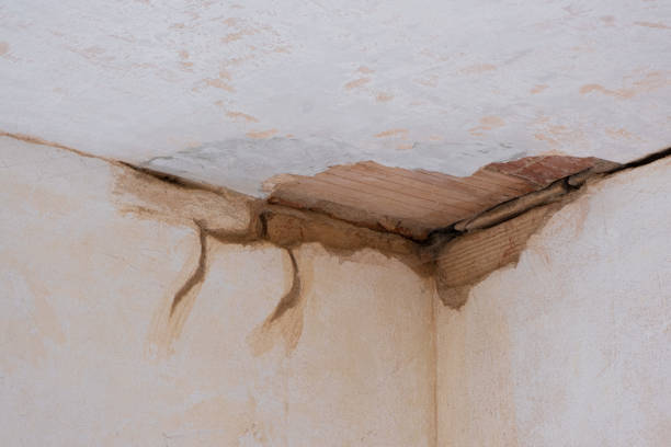 Best Carpet water damage restoration  in Porcupine, SD