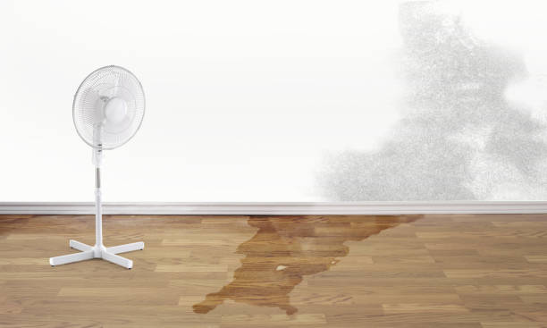 Best Flood restoration services  in Porcupine, SD