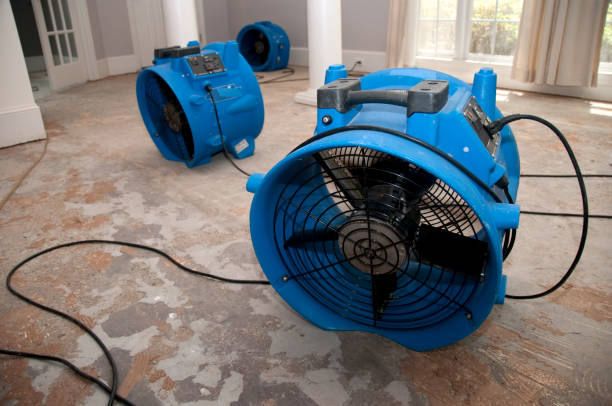 Best Residential water damage restoration  in Porcupine, SD