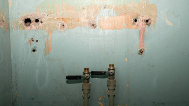 Best Local water damage restoration  in Porcupine, SD