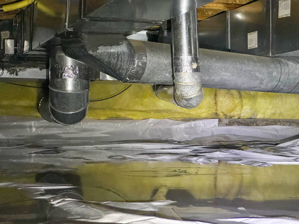 Best Basement water damage restoration  in Porcupine, SD