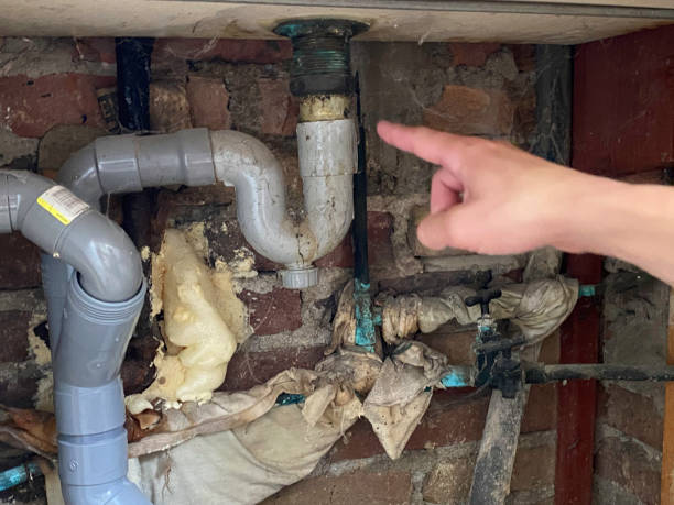 Best Local water damage restoration  in Porcupine, SD