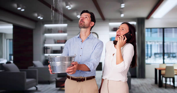 Best Ceiling water damage repair  in Porcupine, SD