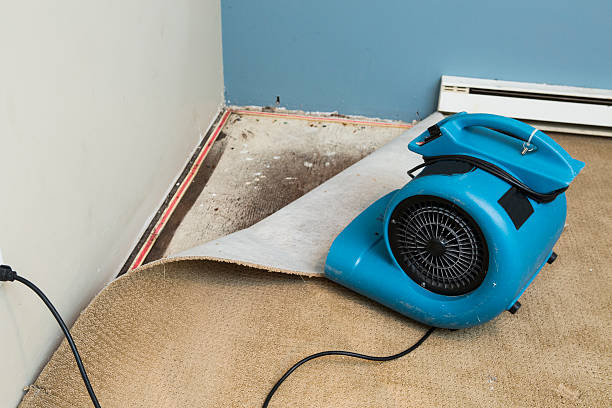 Best 24/7 water damage repair  in Porcupine, SD